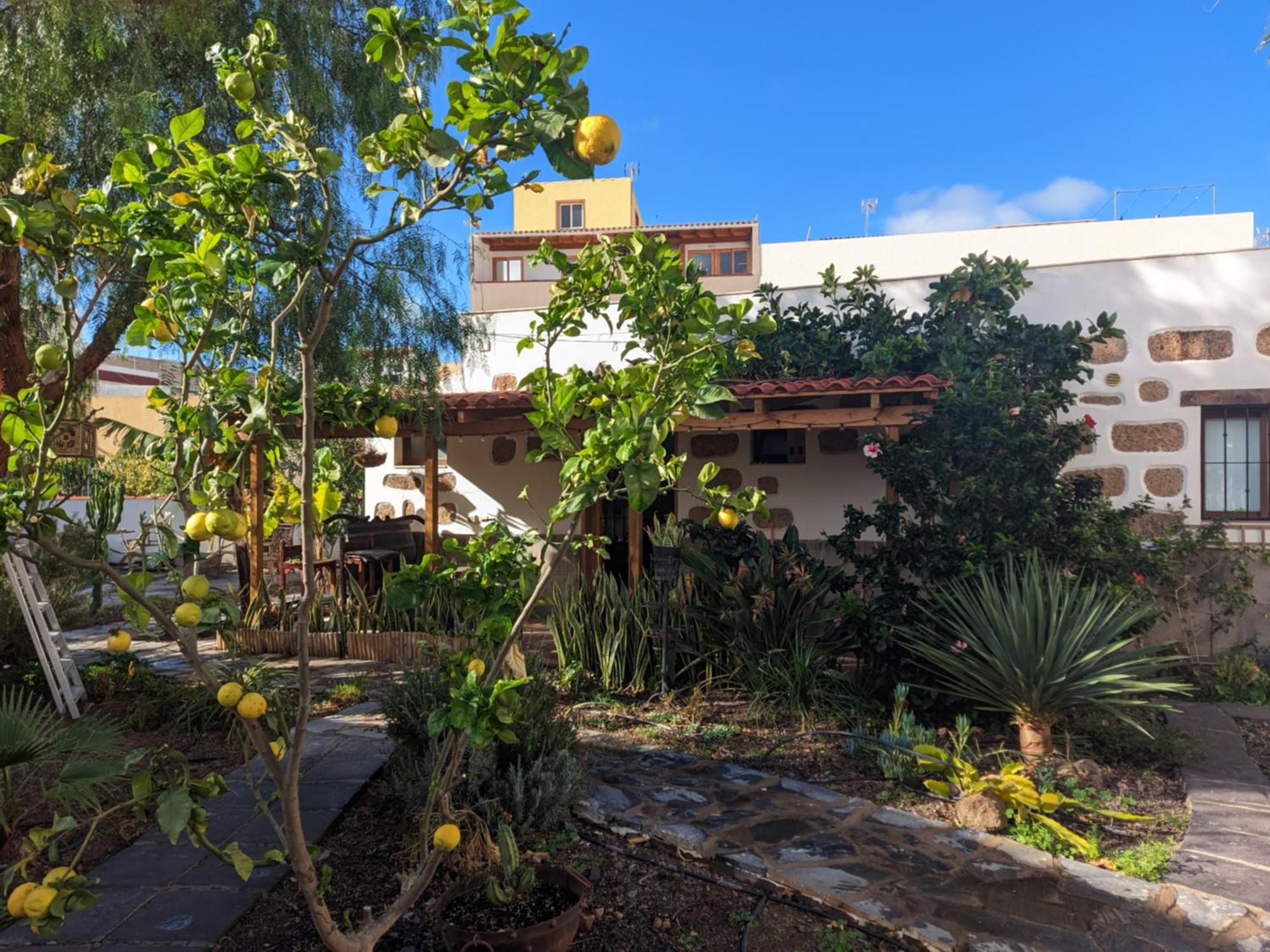 Casa Roberta Arona (Tenerife) Exterior foto